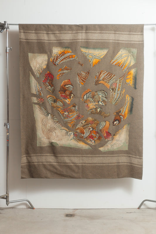 Blanket 007